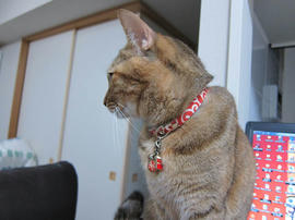 IMG06629.jpg