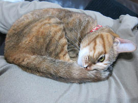 IMG06653.jpg