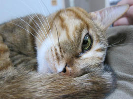 IMG06654.jpg