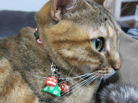 IMG06656.jpg
