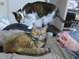 IMG06658.jpg