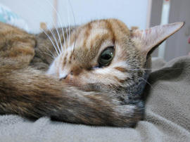 IMG06652.jpg