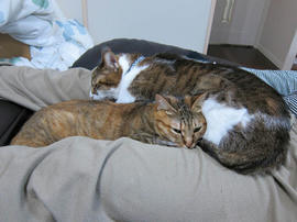 IMG06663.jpg