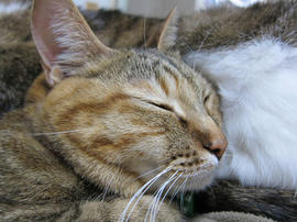 IMG06665.jpg