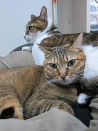 IMG06667.jpg