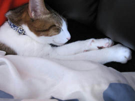 IMG06697.jpg