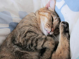 IMG06698.jpg