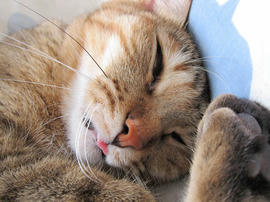 IMG06700.jpg