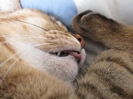 IMG06701.jpg