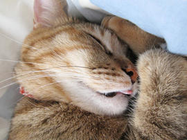 IMG06692.jpg
