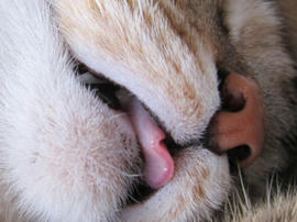 IMG06693.jpg