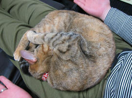 IMG06702.jpg
