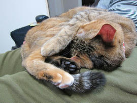 IMG06703.jpg