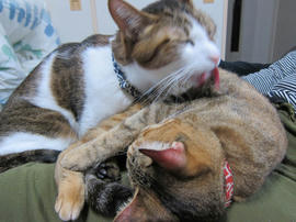 IMG06704.jpg