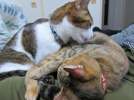 IMG06705.jpg