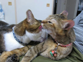 IMG06708.jpg