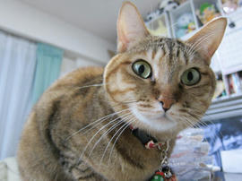 IMG06714.jpg