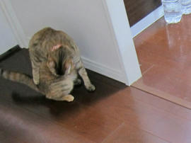 IMG06716.jpg
