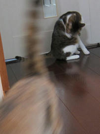 IMG06717.jpg
