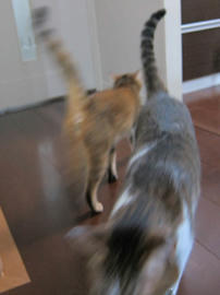 IMG06718.jpg