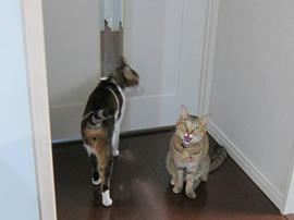 IMG06719.jpg