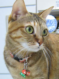 IMG06734.jpg