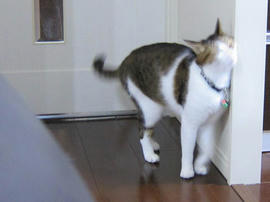 IMG06737.jpg