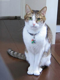IMG06738.jpg