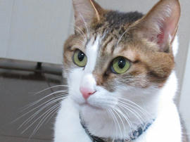IMG06739.jpg