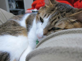 IMG06744.jpg