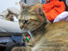 IMG06745.jpg