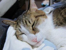 IMG06749.jpg