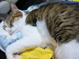 IMG06750.jpg