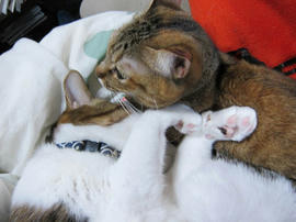 IMG06753.jpg