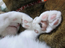 IMG06754.jpg