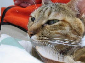 IMG06756.jpg