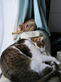 IMG06757.jpg