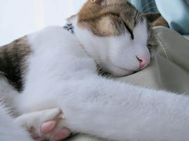 IMG06758.jpg