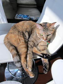 IMG06763.jpg