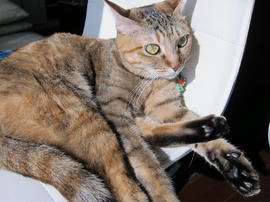 IMG06764.jpg