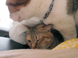 IMG06766.jpg