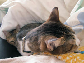 IMG06767.jpg