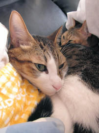 IMG06771.jpg