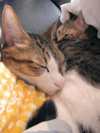 IMG06772.jpg