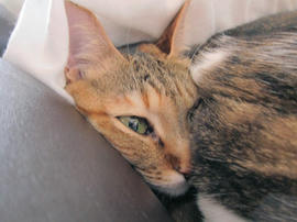 IMG06768.jpg