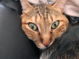 IMG06773.jpg