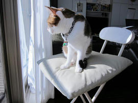 IMG06780.jpg