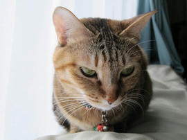 IMG06783.jpg