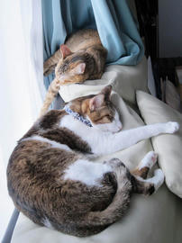 IMG06790.jpg