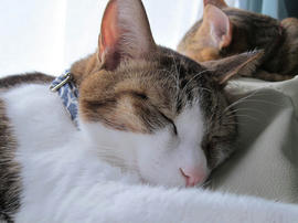 IMG06791.jpg